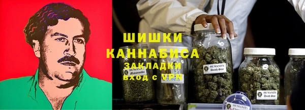 стаф Абаза