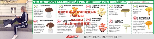 стаф Абаза
