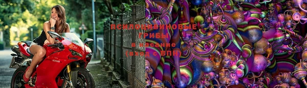 стаф Абаза