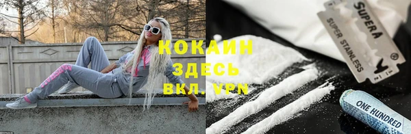 стаф Абаза